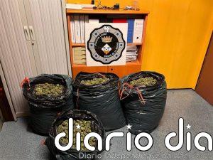 Detienen a un hombre en Cassà de la Selva (Girona) con 79 kilogramos de cannabis