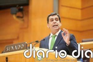 Díez de Revenga: "El PP lleva tiempo advirtiendo de presuntas irregularidades en infraestructuras"