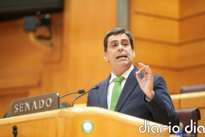 Díez de Revenga: "El PP lleva tiempo advirtiendo de presuntas irregularidades en infraestructuras"