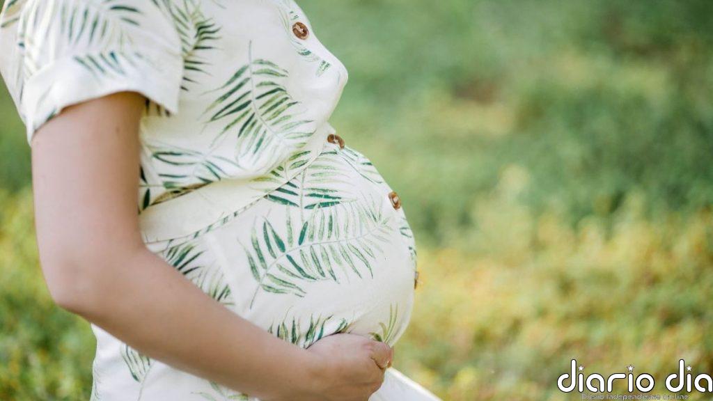 El aumento de la ovodonación y la ‘in vitro’ refleja la evolución del perfil familiar en España