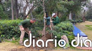 El Ayuntamiento concluye la fase de plantación de 450 árboles y 2.400 arbustos en el Parque de María Luisa