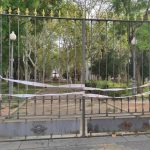 El Ayuntamiento de Córdoba cierra los parques por el temporal tras caer un árbol de grandes dimensiones en Colón