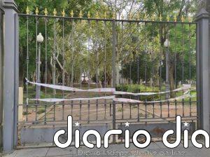 El Ayuntamiento de Córdoba cierra los parques por el temporal tras caer un árbol de grandes dimensiones en Colón