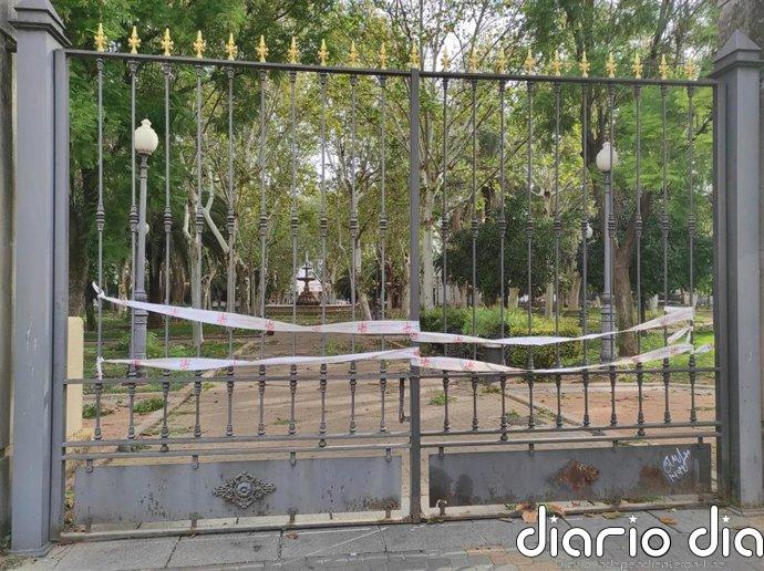 El Ayuntamiento de Córdoba cierra los parques por el temporal tras caer un árbol de grandes dimensiones en Colón