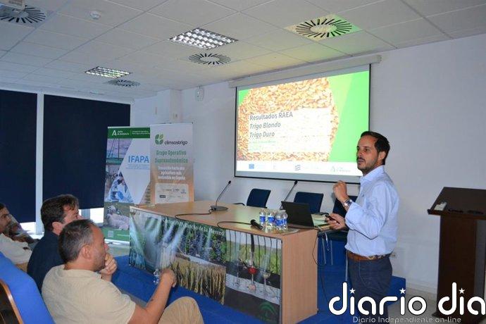 El Ayuntamiento de Jerez colabora en unas jornadas sobre innovación en el sector cerealista