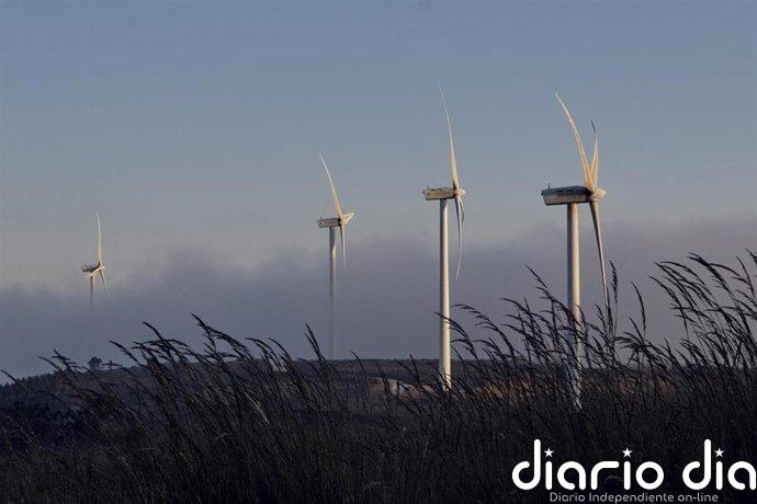 El BCE destaca los beneficios de la transición de España hacia las energías renovables