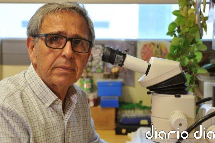 El biólogo Ginés Morata, galardonado con la Medalla Echegaray de la RAC, el galardón científico más antiguo en España