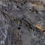 El Centro de Arte Hortensia Herrero de Valencia acoge al gran Anselm Kiefer con su 'Danae'