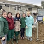 El CITA comprueba la eficacia del hidroxitirosol para reducir los efectos de la subnutrición en vacuno de carne