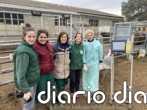 El CITA comprueba la eficacia del hidroxitirosol para reducir los efectos de la subnutrición en vacuno de carne