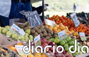 El gasto de hogares en alimentación cayó un 6,3% en 2024 y el destinado a vehículos aumentó un 10,6%