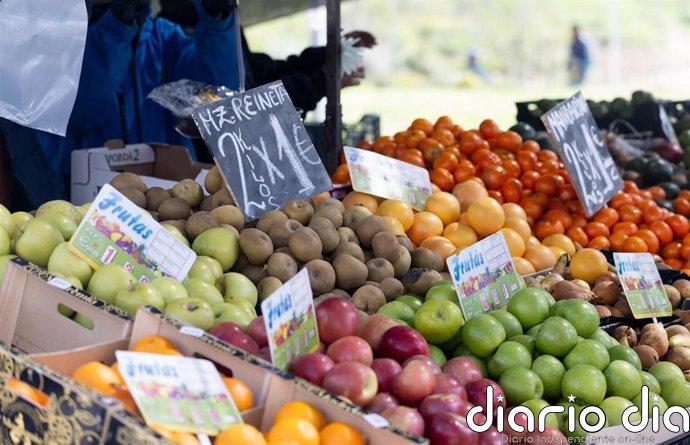 El gasto de hogares en alimentación cayó un 6,3% en 2024 y el destinado a vehículos aumentó un 10,6%