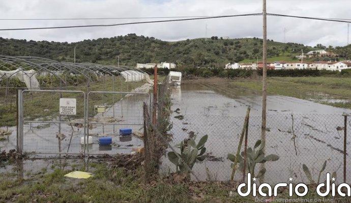 El Gobierno convoca ayudas de 100 millones para agricultores y pescadores afectados por las borrascas