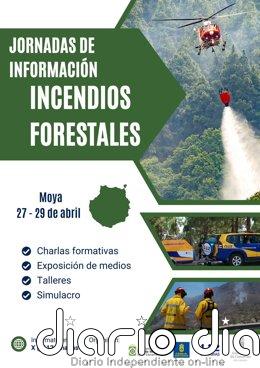 El Gobierno de Canarias realizará un simulacro de incendio forestal en Moya (Gran Canaria) para comprobar protocolos