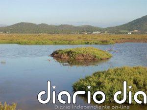 El Govern invertirá 600.000 euros en mejorar caminos, sustituir observatorios y construir una pasarela en s'Albufera