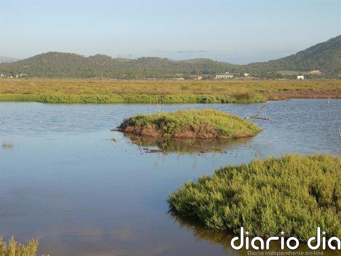 El Govern invertirá 600.000 euros en mejorar caminos, sustituir observatorios y construir una pasarela en s'Albufera