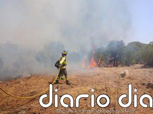 El Infoca da por controlado los incendios forestales en Sanlúcar de Guadiana y Encinasola (Huelva)