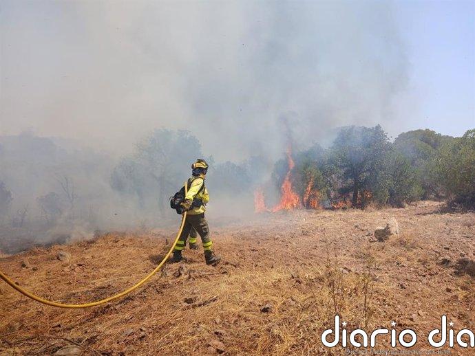 El Infoca da por controlado los incendios forestales en Sanlúcar de Guadiana y Encinasola (Huelva)