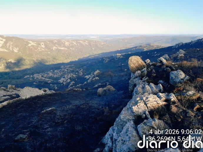 El Infoca moviliza una docena de efectivos para controlar el incendio forestal de Medina-Sidonia (Cádiz)