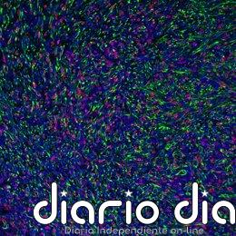 El nuevo hallazgo contra los tumores resistentes: cómo desbloquear las células asesinas del sistema inmune