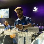 El Oceanogràfic abre al público un laboratorio para observar en directo el ciclo vital de las medusas