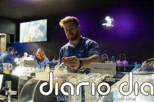 El Oceanogràfic abre al público un laboratorio para observar en directo el ciclo vital de las medusas