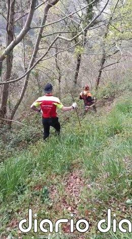 El operativo de búsqueda del hombre desaparecido en Toranzo se centra hoy en zonas de abundante maleza El operativo de búsqueda del hombre desaparecido en Toranzo se centra hoy en zonas de maleza