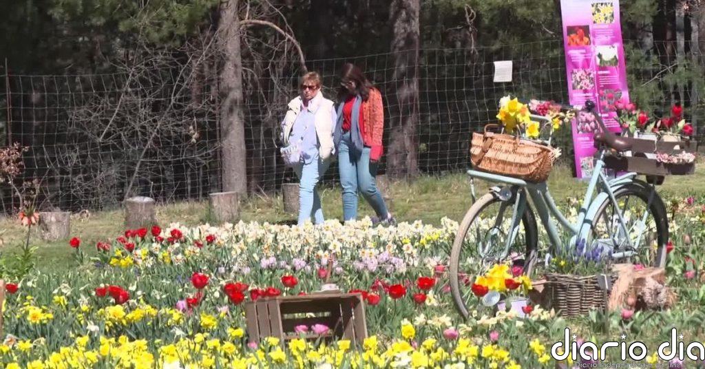 El paraíso de los tulipanes está a una hora de Barcelona