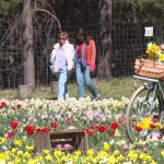 El paraíso de los tulipanes está a una hora de Barcelona