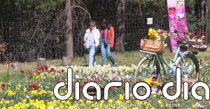 El paraíso de los tulipanes está a una hora de Barcelona