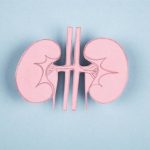 El paso de la consulta pediátrica a la de adultos en pacientes trasplantados puede generar ansiedad, según expertos