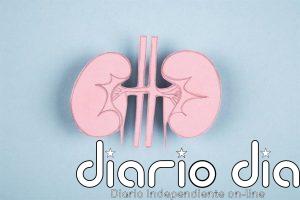 El paso de la consulta pediátrica a la de adultos en pacientes trasplantados puede generar ansiedad, según expertos