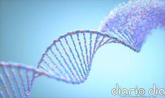 El proyecto del ISCIII IMPaCT-Genómica logra un diagnóstico genético para el 30% de los 2.000 pacientes estudiados