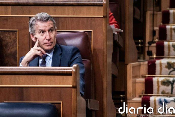 El PSOE critica en un vídeo los cuatro años "perdidos" de Feijóo al frente del PP y su "dependencia" de Vox