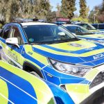 El sábado de Feria se salda con nueve detenidos, cinco de ellos por delitos de tráfico