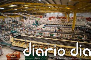 El sector del manipulado hortofrutícola se concentra este domingo en la Rambla de Almería ante el "bloqueo" del convenio