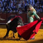 El Senado insta al Gobierno a que proteja al toro de lidia y derogue la Ley de Bienestar Animal gracias a PP y Vox