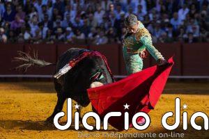 El Senado insta al Gobierno a que proteja al toro de lidia y derogue la Ley de Bienestar Animal gracias a PP y Vox