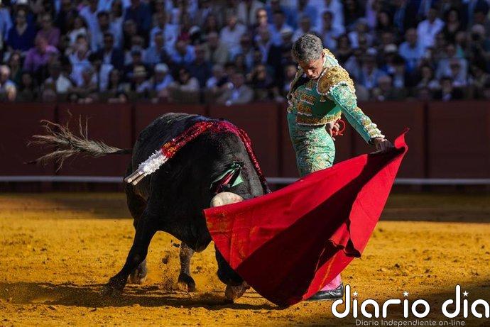 El Senado insta al Gobierno a que proteja al toro de lidia y derogue la Ley de Bienestar Animal gracias a PP y Vox