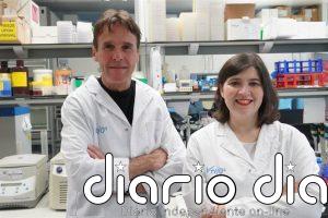 El Vhio impulsa el primer ensayo en pacientes de una terapia CAR-T contra tumores sólidos HER2+