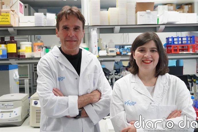 El Vhio impulsa el primer ensayo en pacientes de una terapia CAR-T contra tumores sólidos HER2+