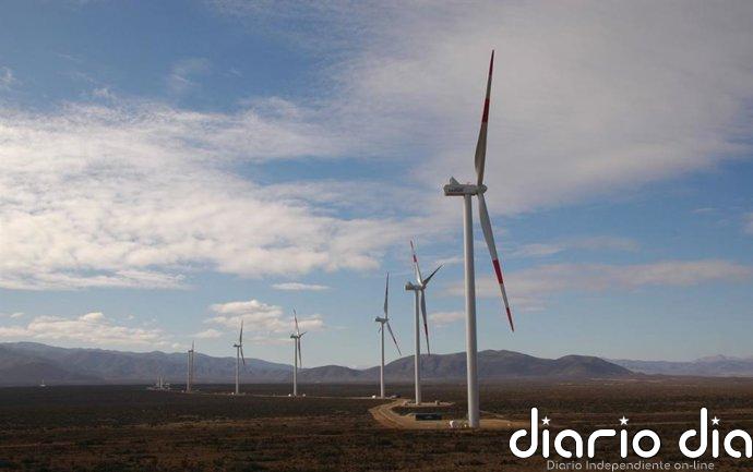 Elecnor votará en junta un dividendo complementario de 0,41 euros y el nombramiento de dos nuevas consejeras