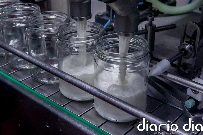 Especialistas destacan las propiedades de los lácteos de cabra para mejorar digestiones y enriquecer la microbiota