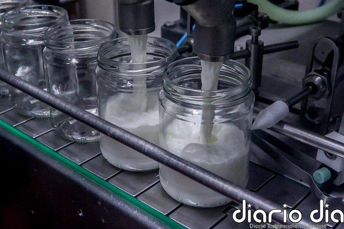 Especialistas destacan las propiedades de los lácteos de cabra para mejorar digestiones y enriquecer la microbiota