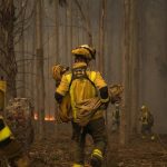 Europa registró olas de calor inéditas en tierra y mar en 2025, con récord en superficie quemada, según Copernicus