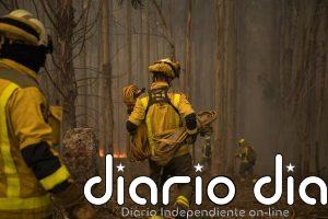 Europa registró olas de calor inéditas en tierra y mar en 2025, con récord en superficie quemada, según Copernicus