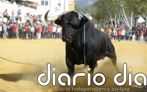 Evacuado en helicóptero un herido tras ser corneado por un toro en las Fiestas de San Marcos de Beas de Segura (Jaén)