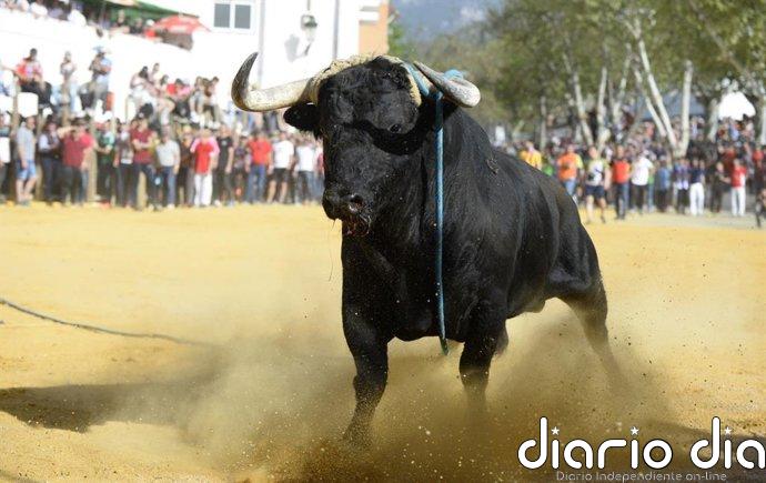 Evacuado en helicóptero un herido tras ser corneado por un toro en las Fiestas de San Marcos de Beas de Segura (Jaén)