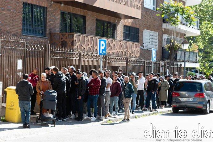 Experto advierte de que el "colapso" en entidades puede dificultar el informe de vulnerabilidad para la regularización