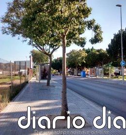 Expertos de la UMA estudian la "justicia ambiental" que genera el reparto de árboles en ciudades